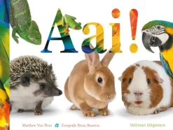 Outlet Aai! Bekijk Alles