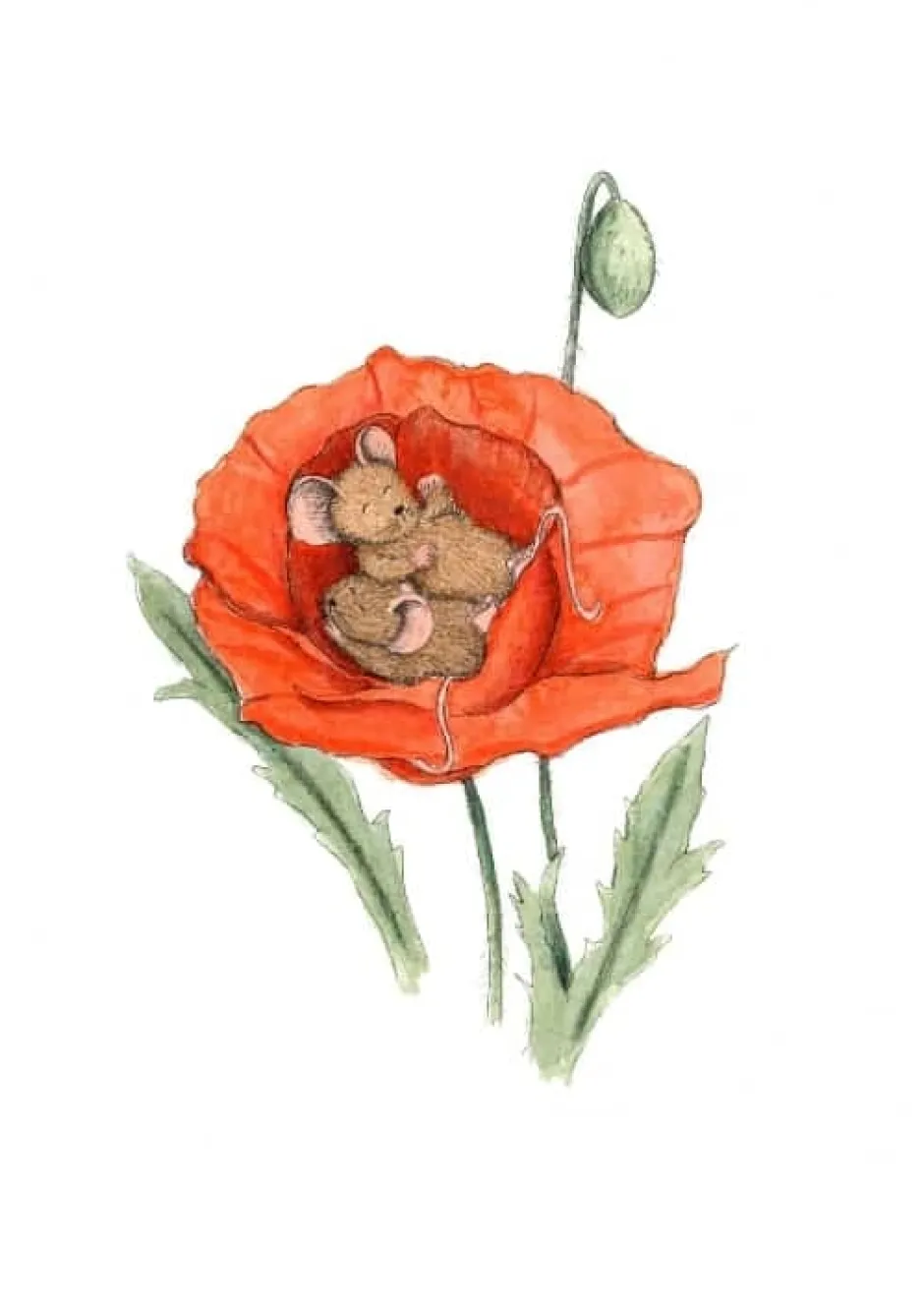 Sale Ansichtkaart Slapende muisjes in klaproos Wenskaarten