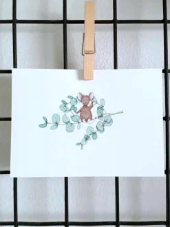 Ansichtkaart Eucalyptus muis Wenskaarten