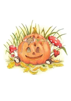 Ansichtkaart Muisje in pompoen Wenskaarten