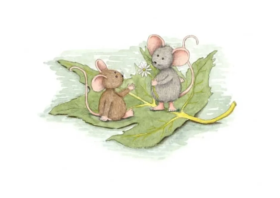 Outlet Ansichtkaart Muisjes op een blad Wenskaarten