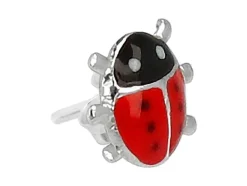 Best Oorbel Echt Zilver Sieraden