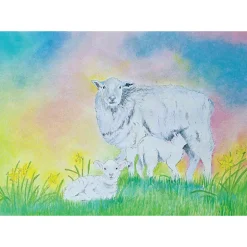 Best Ansichtkaart Schaap met Lammetjes Wenskaarten