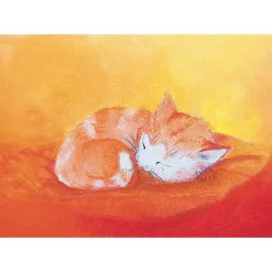 Best Minikaartje Katje Wenskaarten