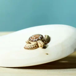 Outlet Baby Schildpad Bruin Reptielen|Wilde Dieren