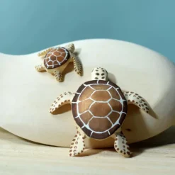 Outlet Baby Schildpad Bruin Reptielen|Wilde Dieren