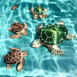 Outlet Baby Schildpad Bruin Reptielen|Wilde Dieren