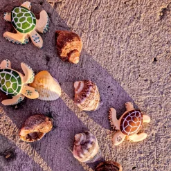 Outlet Baby Schildpad Bruin Reptielen|Wilde Dieren