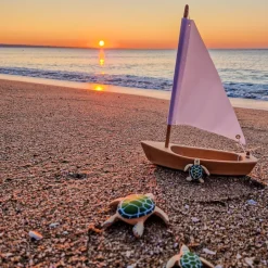 Outlet Baby Schildpad Bruin Reptielen|Wilde Dieren