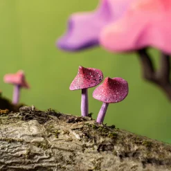 Discount Boom Japanse Esdoorn Figuren En Toebehoren