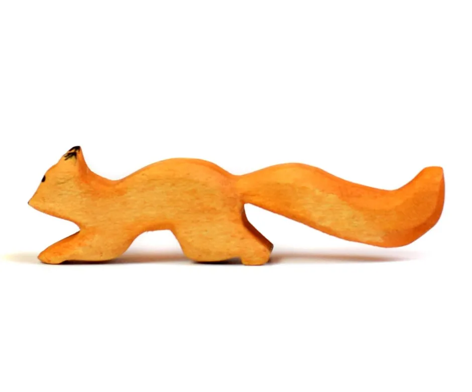 Best Eekhoorn Lopend Knaagdieren|Bosdieren