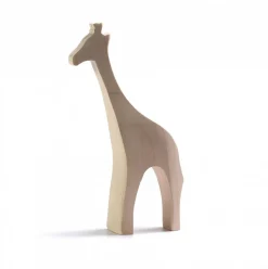 Giraf Naturel Giraffen|Wilde Dieren