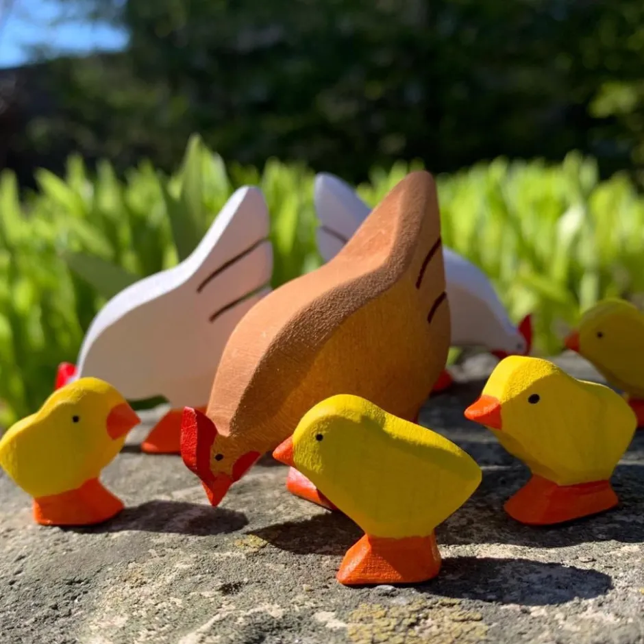 Clearance Kip Bruin Pikkend Kippen|Boerderijdieren