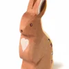 Konijn Oren Omhoog Konijnen|Bosdieren