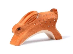 Best Konijn Rennend Konijnen|Bosdieren