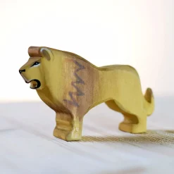 Best Leeuw Mannetje Katachtigen|Wilde Dieren