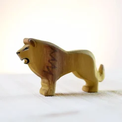 Best Leeuw Mannetje Katachtigen|Wilde Dieren