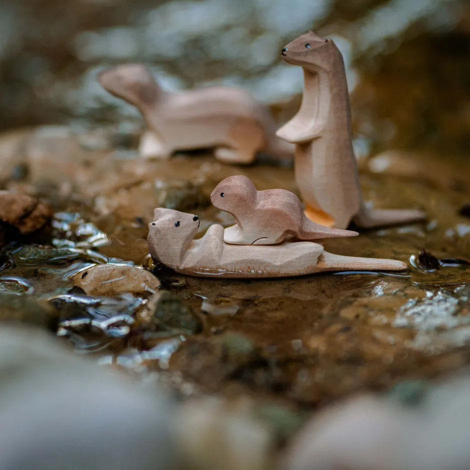 New Otter Slapend Zeedieren|Wilde Dieren