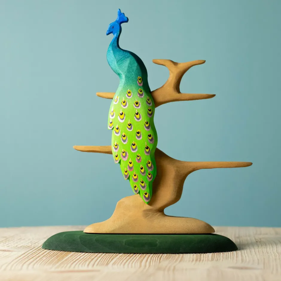 Best Pauw Vogels|Boerderijdieren