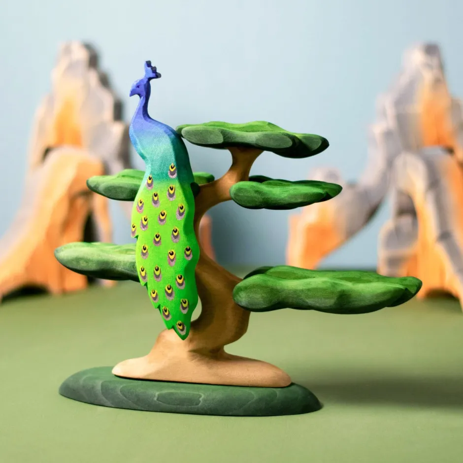 Best Pauw Vogels|Boerderijdieren