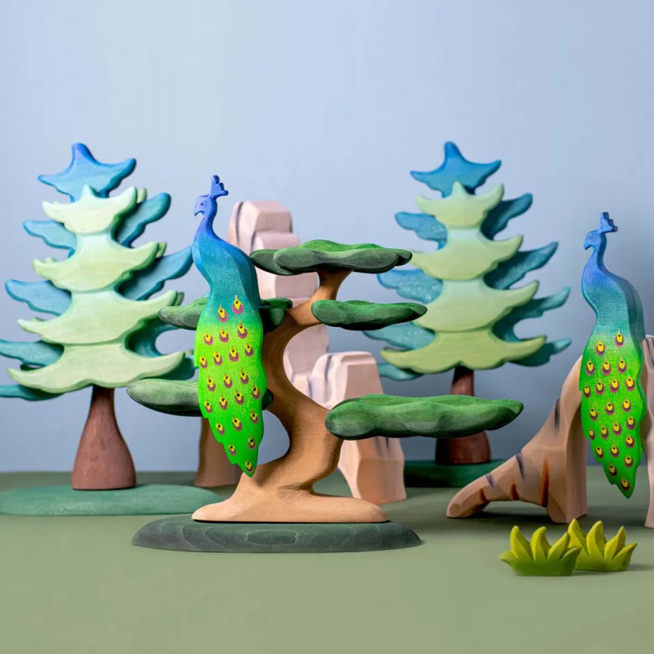 Best Pauw Vogels|Boerderijdieren