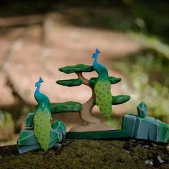 Best Pauw Vogels|Boerderijdieren