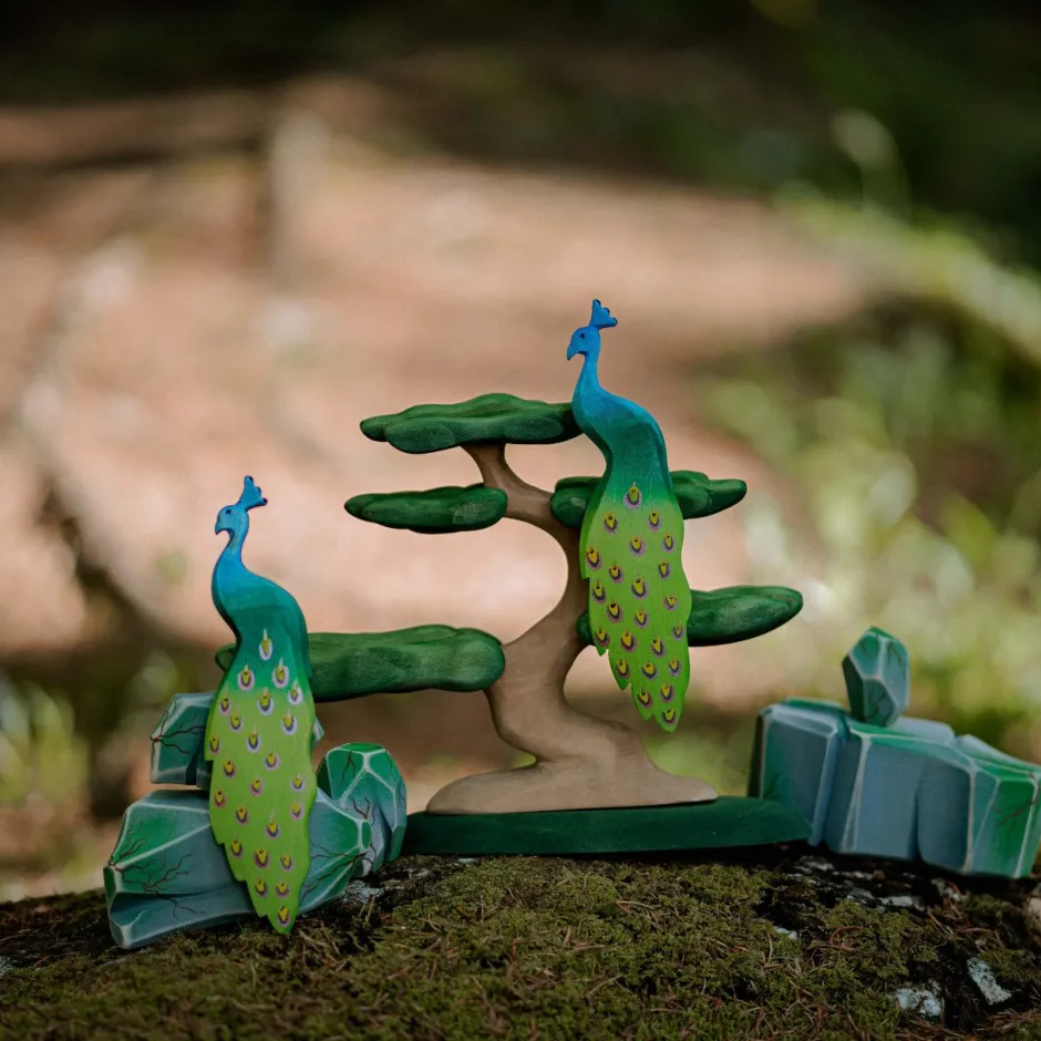 Best Pauw Vogels|Boerderijdieren