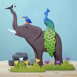 Best Pauw Vogels|Boerderijdieren