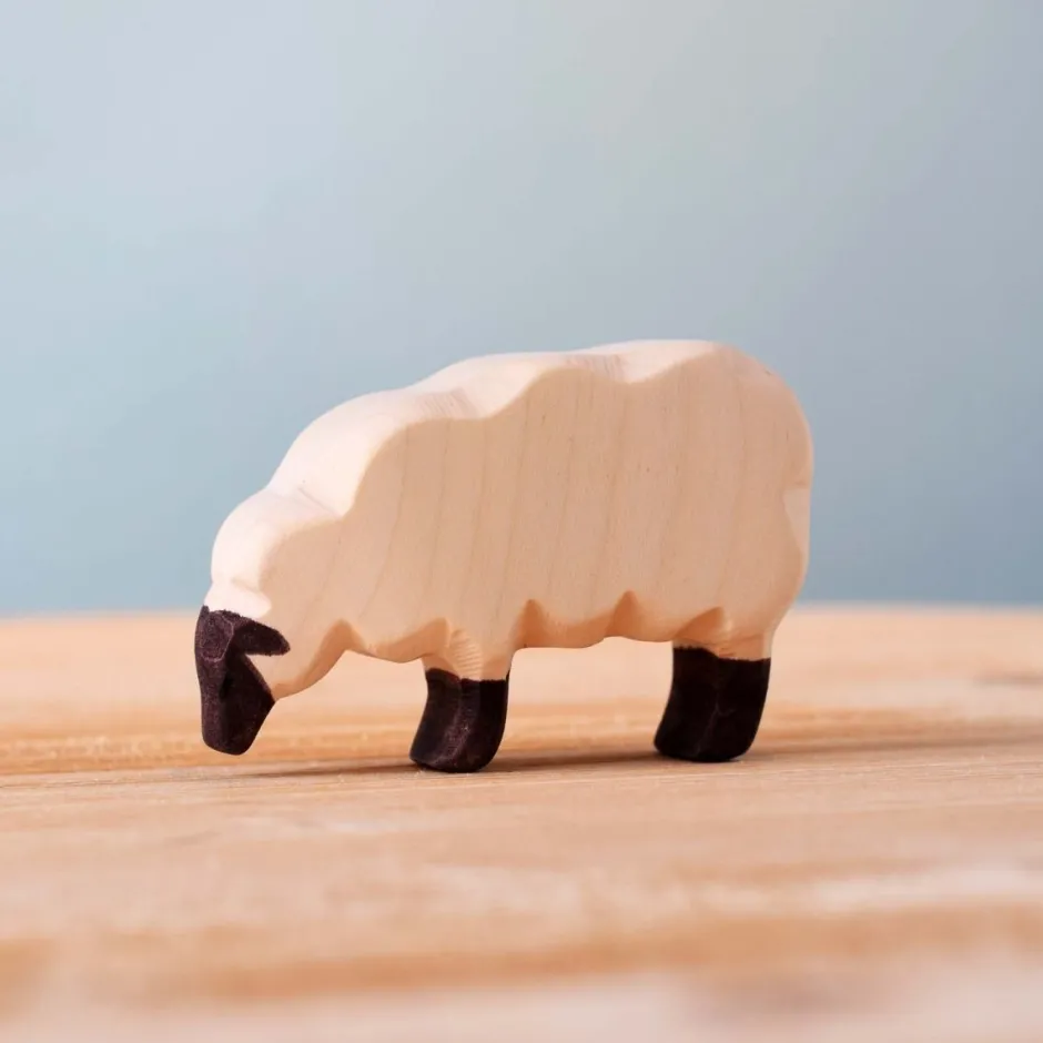 Best Schaap Grazend Schapen|Boerderijdieren