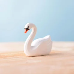 Hot Zwaan Vogels|Wilde Dieren