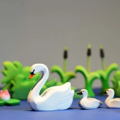 Sale Zwaan Jong Pul Vogels|Wilde Dieren