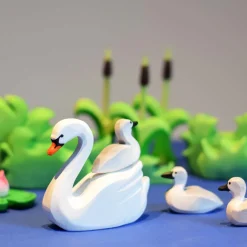 Sale Zwaan Jong Pul Vogels|Wilde Dieren