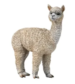 Alpaca 88960 Collecta Dieren En Figuren