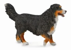 Best Berner Sennenhond 88801 Collecta Dieren En Figuren