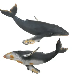 Best Bultrug Walvis 88347 Collecta Dieren En Figuren