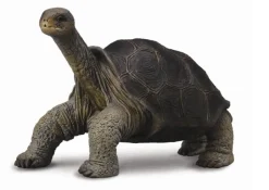 Discount Galapagosreuzenschildpad 88619 Collecta Dieren En Figuren