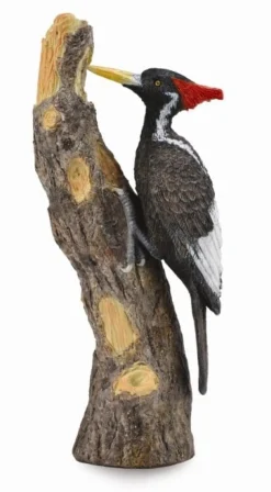 Best Ivoorsnavelspecht 88802 Collecta Dieren En Figuren