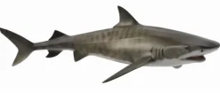 Outlet Tijgerhaai 88661 Collecta Dieren En Figuren