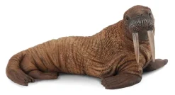 Walrus 88569 Collecta Dieren En Figuren