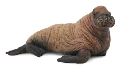 New Walruskalf 88570 Collecta Dieren En Figuren