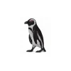 New Zwartvoetpinguïn 88710 Collecta Dieren En Figuren