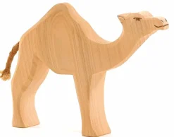 Dromedaris 20911 Wilde Dieren|Kameelachtigen