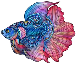 Sale Regenboog Houten Puzzel Fighting Fish Houten Puzzels|Contour Puzzels