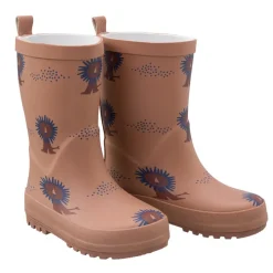 Regenlaarsjes Lion 2e Kans