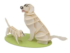 Discount 3D Papiermodel Hond Golden Retriever Creatief
