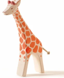 Best Giraf Groot Lopend 21802 Wilde Dieren|Giraffen