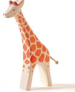 Best Giraf Groot Lopend 21802 Wilde Dieren|Giraffen