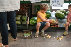 Best Mandala Pompoenen 23-252 Open Ended Play