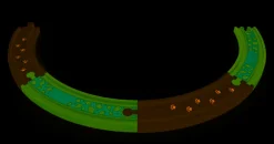 Online Spoorbaan Uitbreiding Deep Jungle Track Pack Treinen