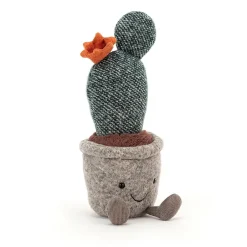 Clearance Knuffel Cactus Silly Succulent Prickly Pear Funky Florist